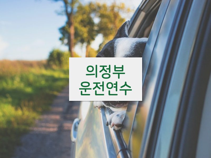 의정부운전연수 후기