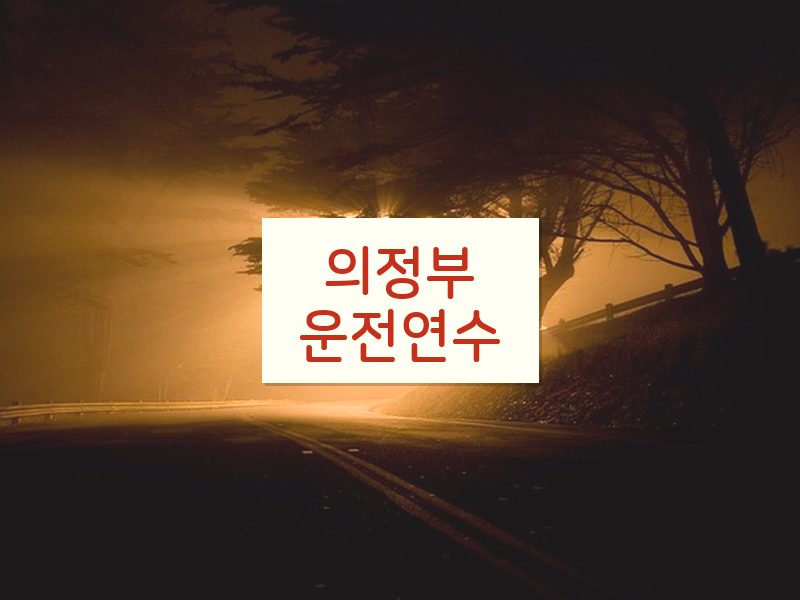 의정부운전연수 후기