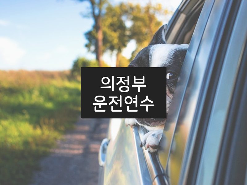 의정부운전연수 후기