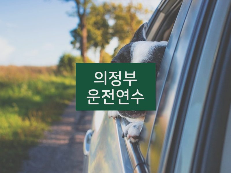 의정부운전연수 후기