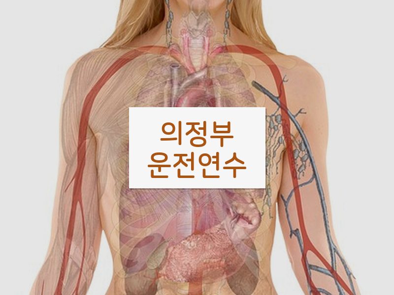 의정부운전연수 후기