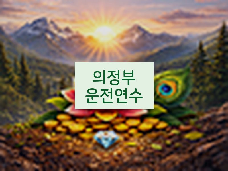 의정부운전연수 후기