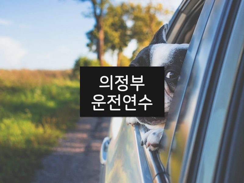의정부운전연수 후기
