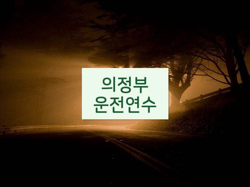 의정부운전연수 후기