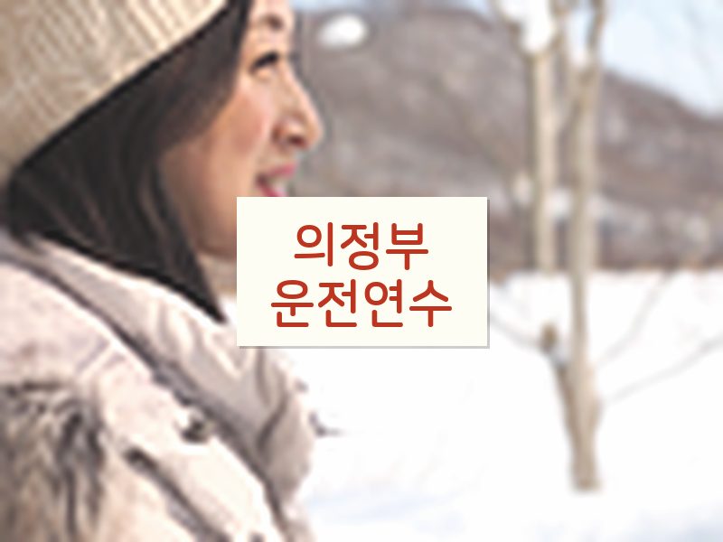 의정부운전연수 후기