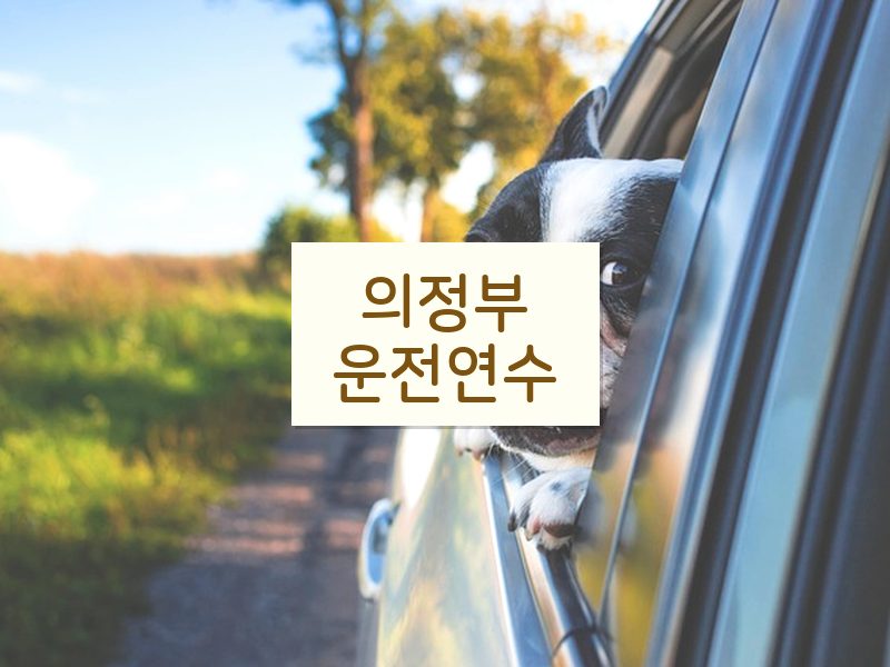 의정부운전연수 후기