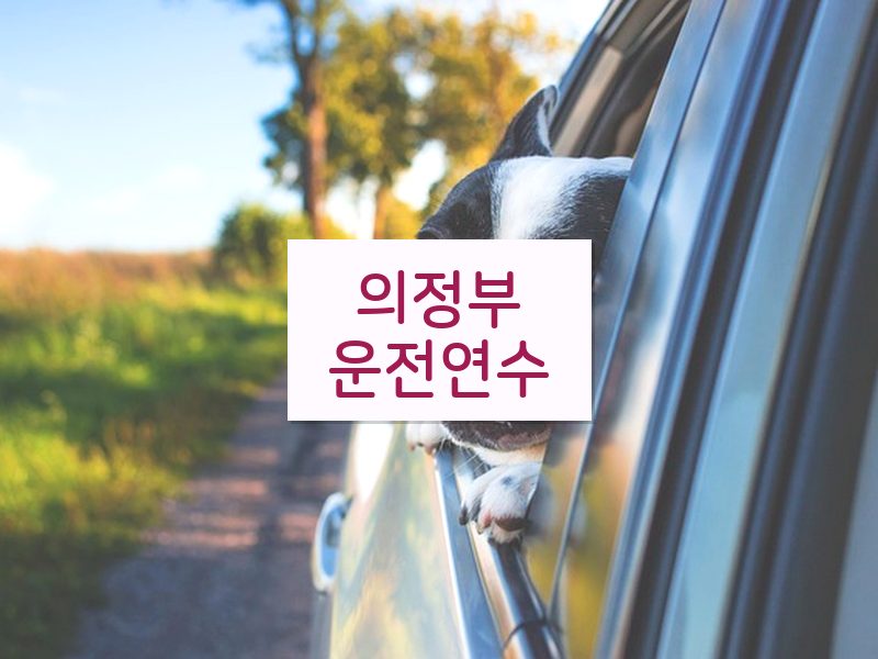 의정부운전연수 후기