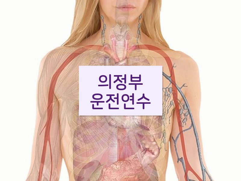 의정부운전연수 후기