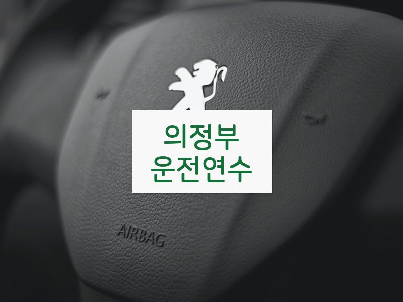 의정부운전연수 후기