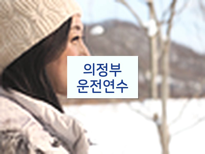 의정부운전연수 후기