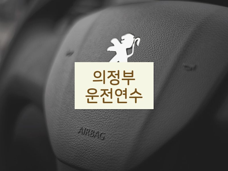 의정부운전연수 후기