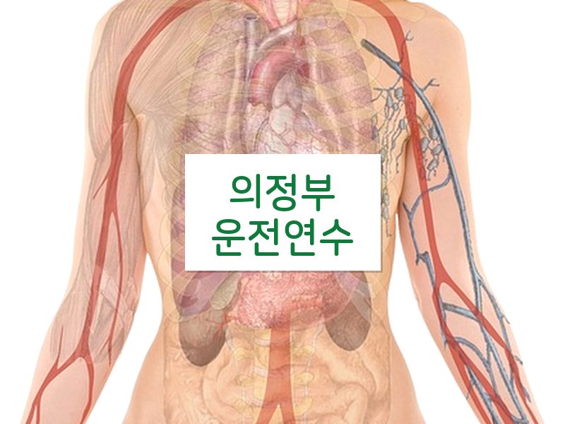 의정부운전연수 후기