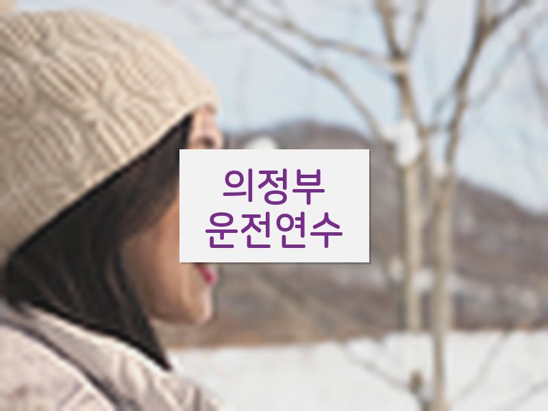 의정부운전연수 후기