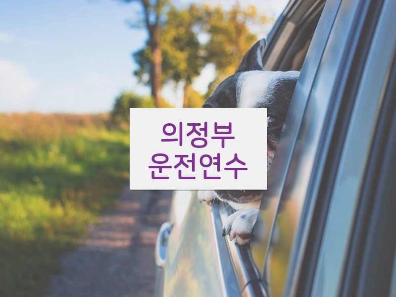 의정부운전연수 후기