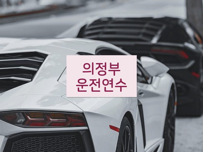 의정부운전연수 후기