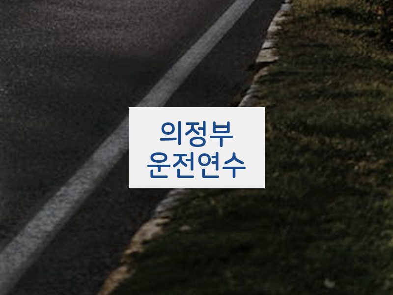 의정부운전연수 후기