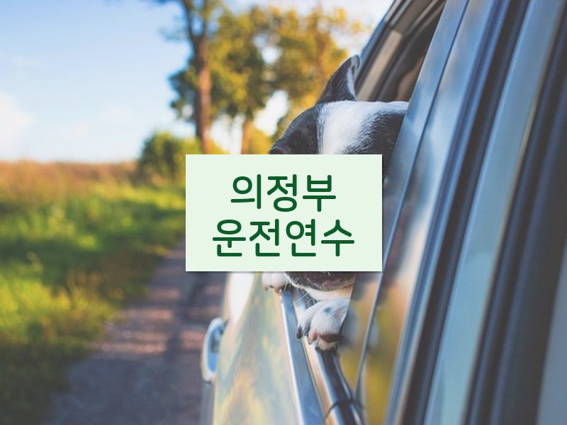 의정부운전연수 후기