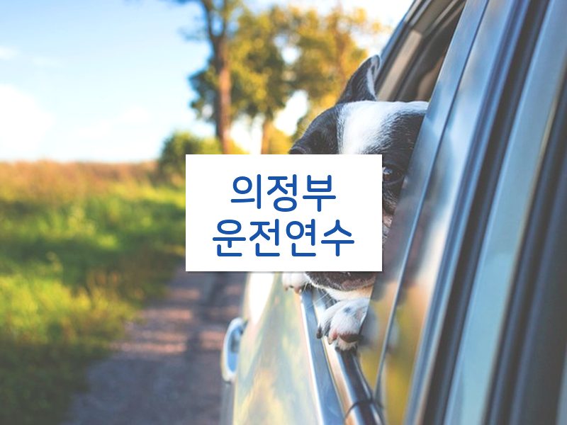 의정부운전연수 후기