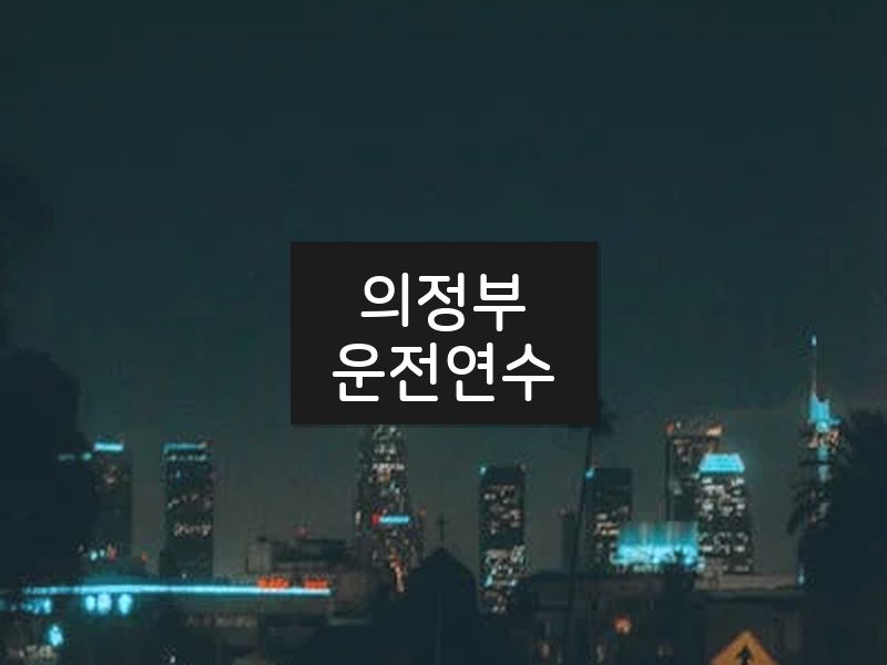 의정부운전연수 후기