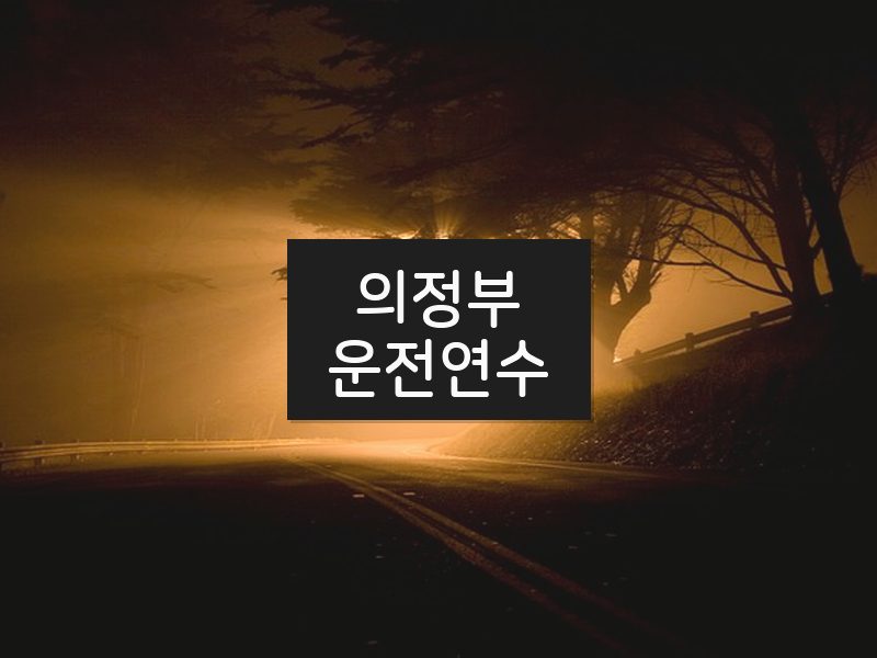 의정부운전연수 후기
