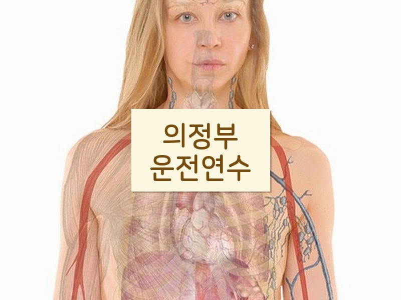 의정부운전연수 후기