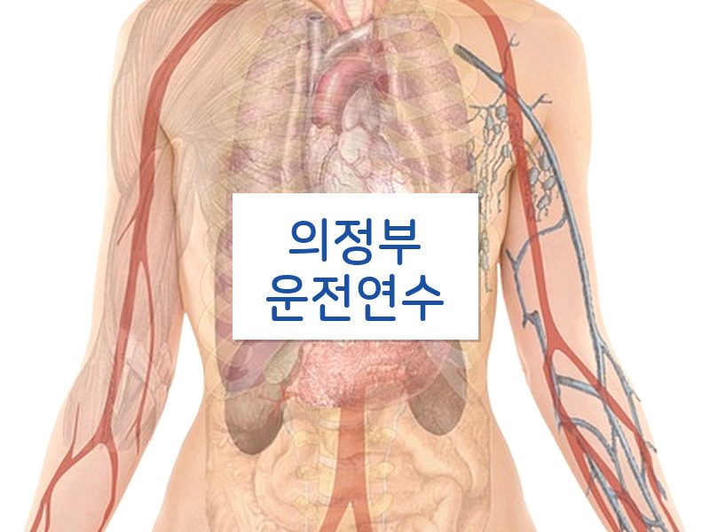 의정부운전연수 후기