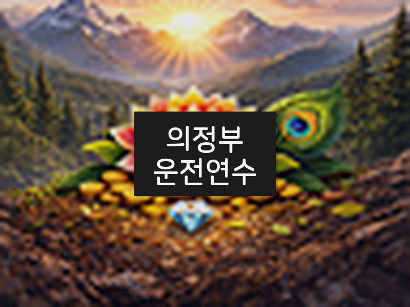 의정부운전연수 후기