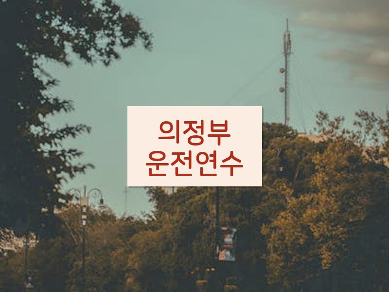 의정부운전연수 후기