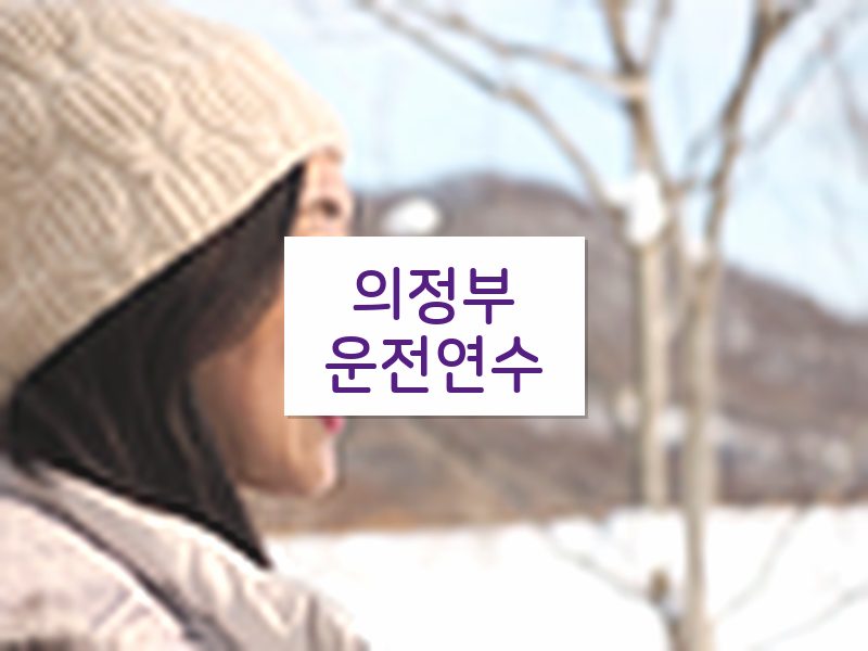 의정부운전연수 후기