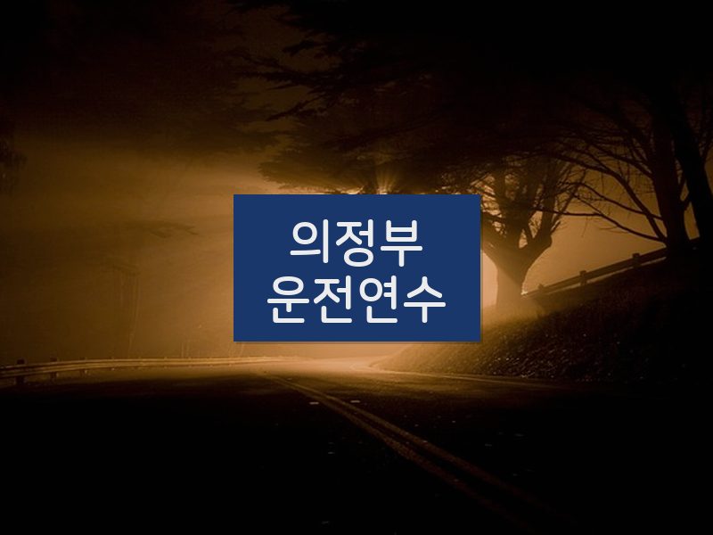 의정부운전연수 후기