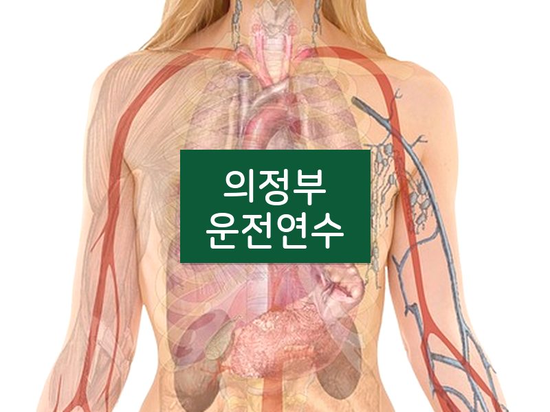 의정부운전연수 후기