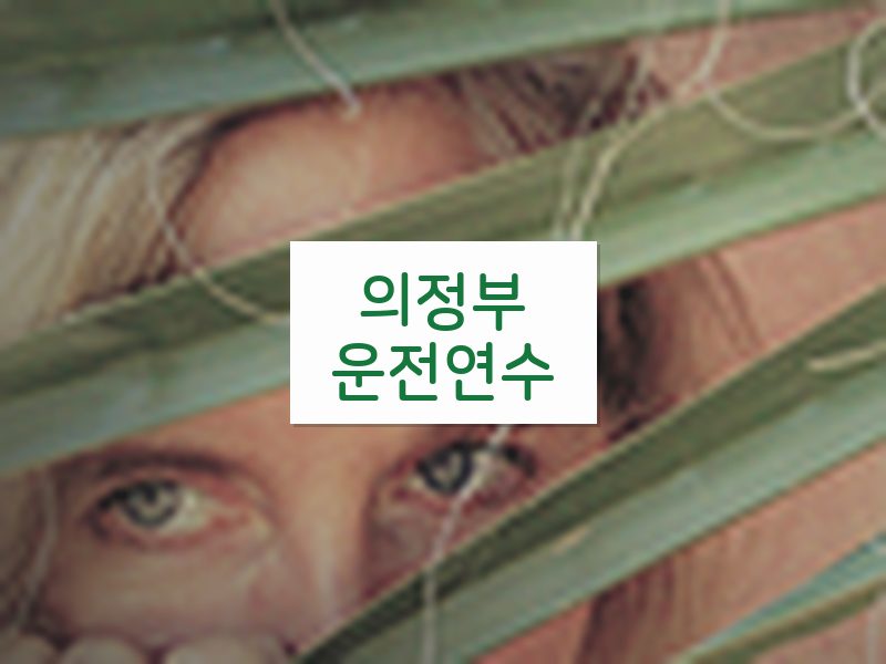 의정부운전연수 후기