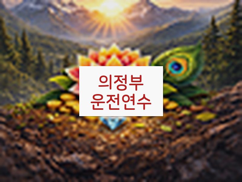 의정부운전연수 후기