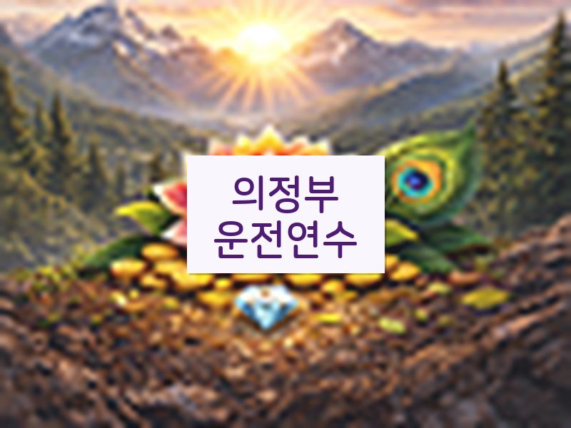 의정부운전연수 후기