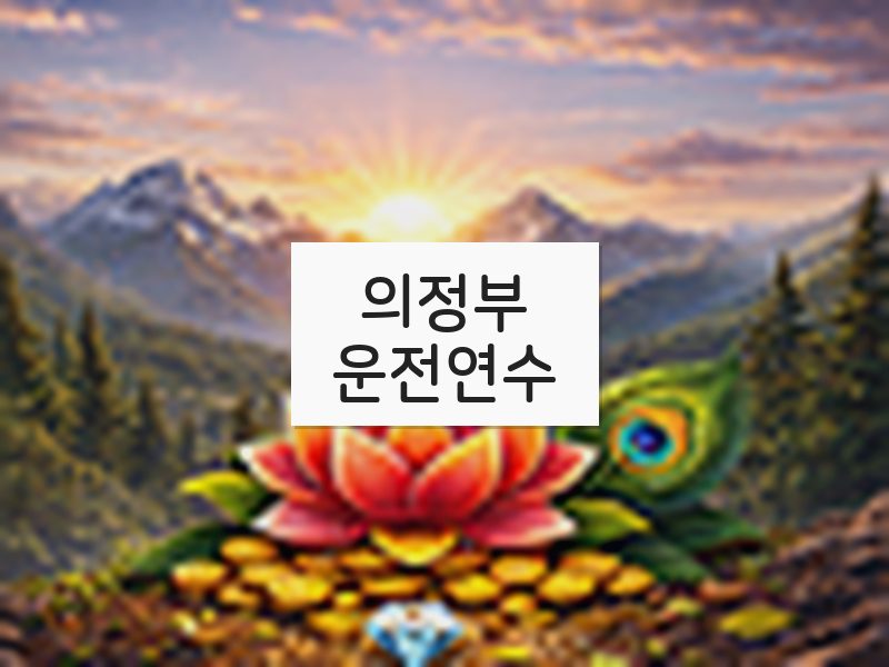 의정부운전연수 후기