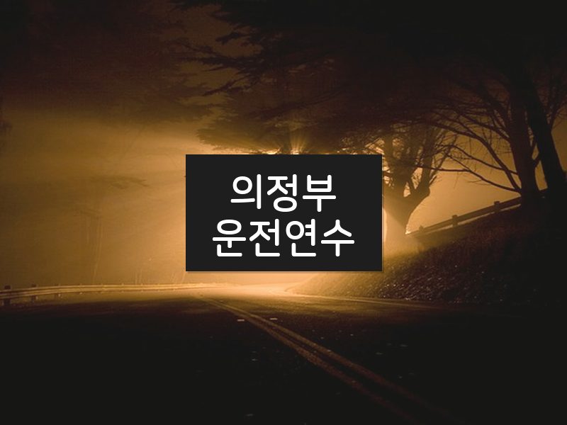 의정부운전연수 후기