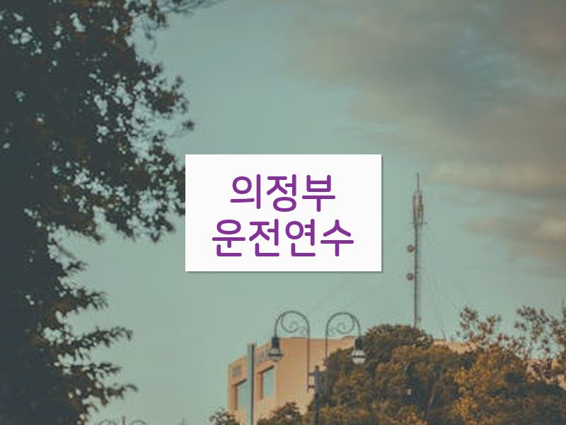 의정부운전연수 후기