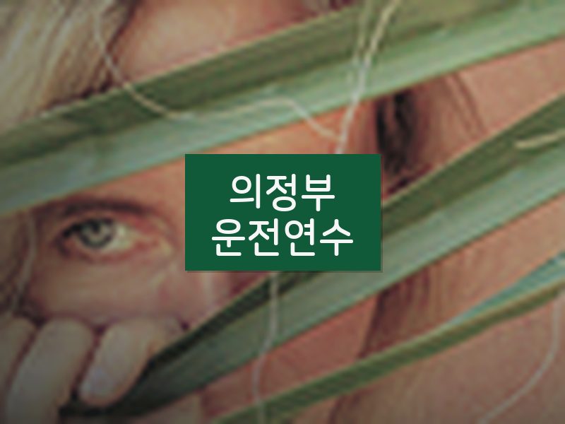의정부운전연수 후기