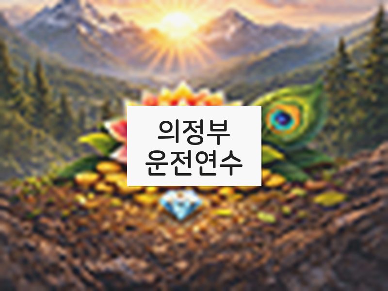 의정부운전연수 후기