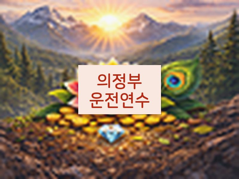 의정부운전연수 후기