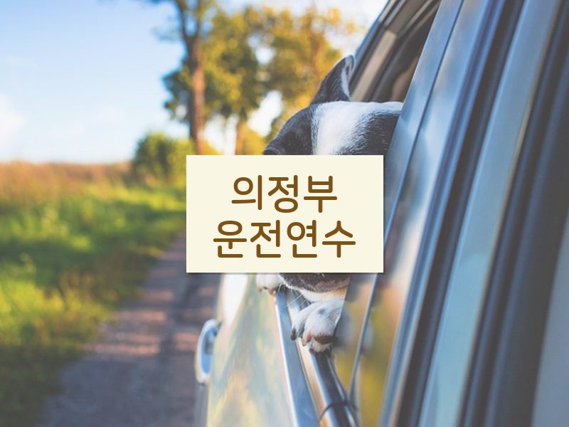 의정부운전연수 후기