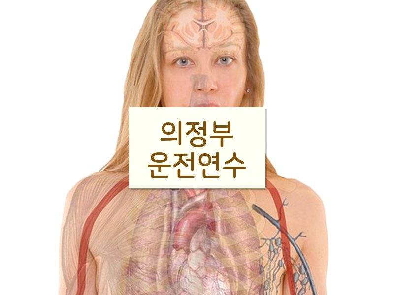 의정부운전연수 후기