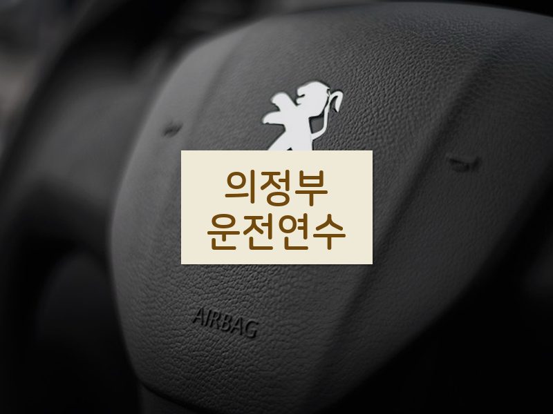 의정부운전연수 후기