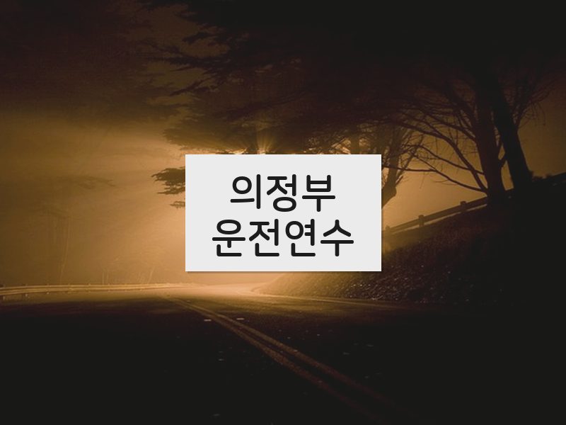 의정부운전연수 후기