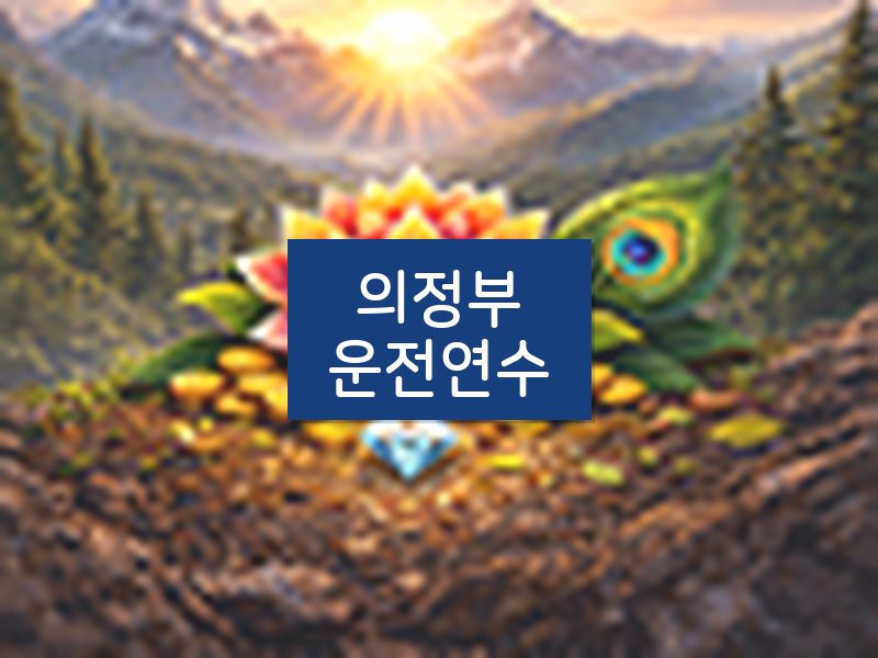 의정부운전연수 후기