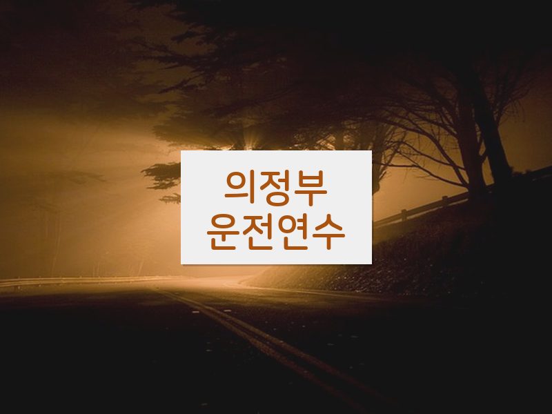 의정부운전연수 후기