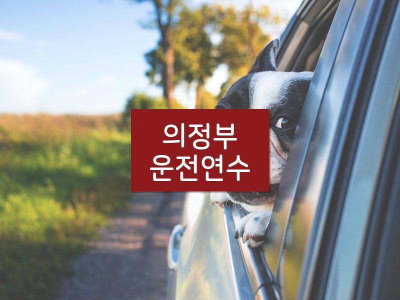 의정부운전연수 후기