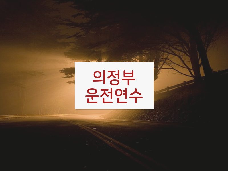 의정부운전연수 후기