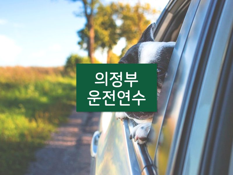 의정부운전연수 후기
