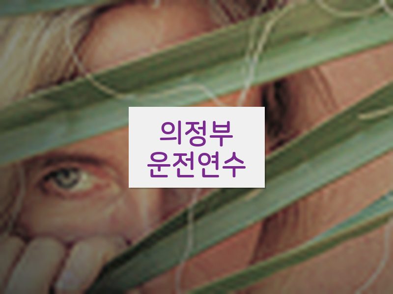 의정부운전연수 후기